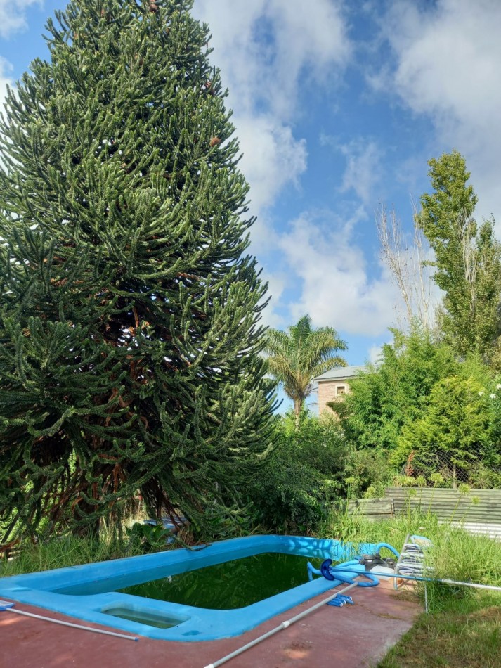 Dos Viviendas Independientes con Piscina en Lote de 1000 m² 