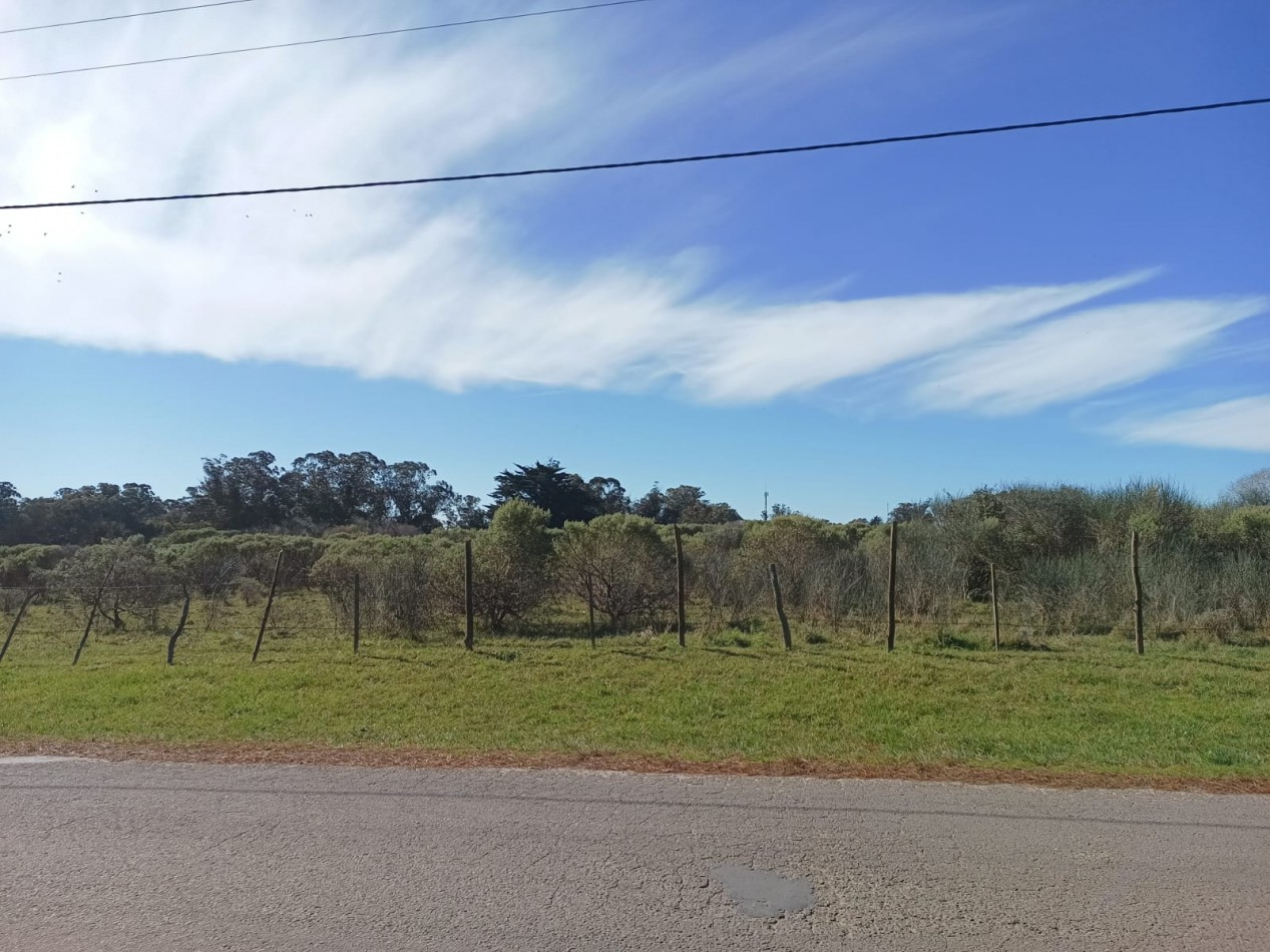 VENTA DE LOTES SOBRE AV. ANTARTIDA ARGENTINA - IDEALES PARA DESARROLLO COMERCIAL, DEPORTIVO O LOGISTICO
