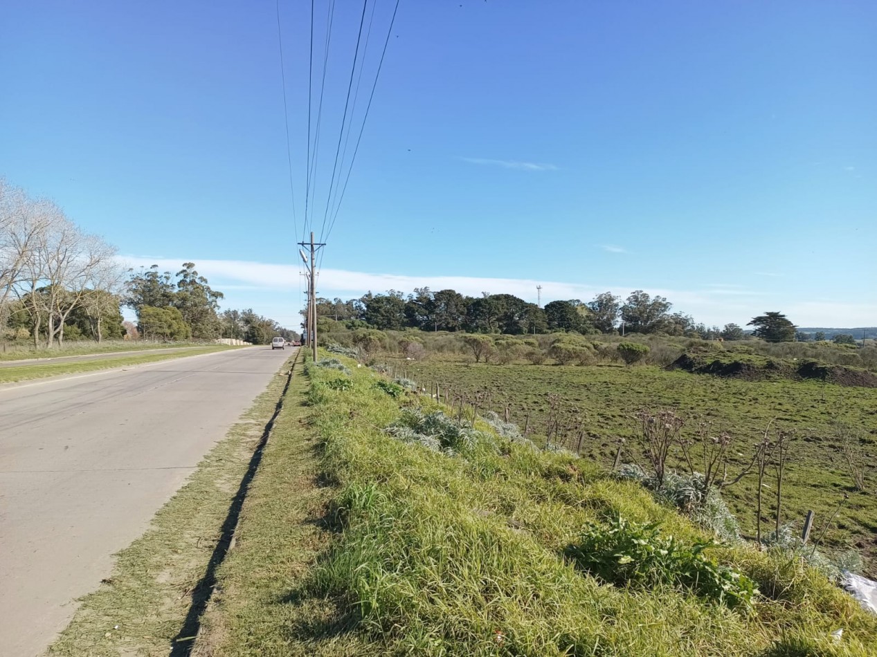 VENTA DE LOTES SOBRE AV. ANTARTIDA ARGENTINA - IDEALES PARA DESARROLLO COMERCIAL, DEPORTIVO O LOGISTICO