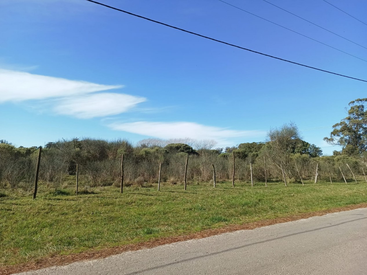 VENTA DE LOTES SOBRE AV. ANTARTIDA ARGENTINA - IDEALES PARA DESARROLLO COMERCIAL, DEPORTIVO O LOGISTICO