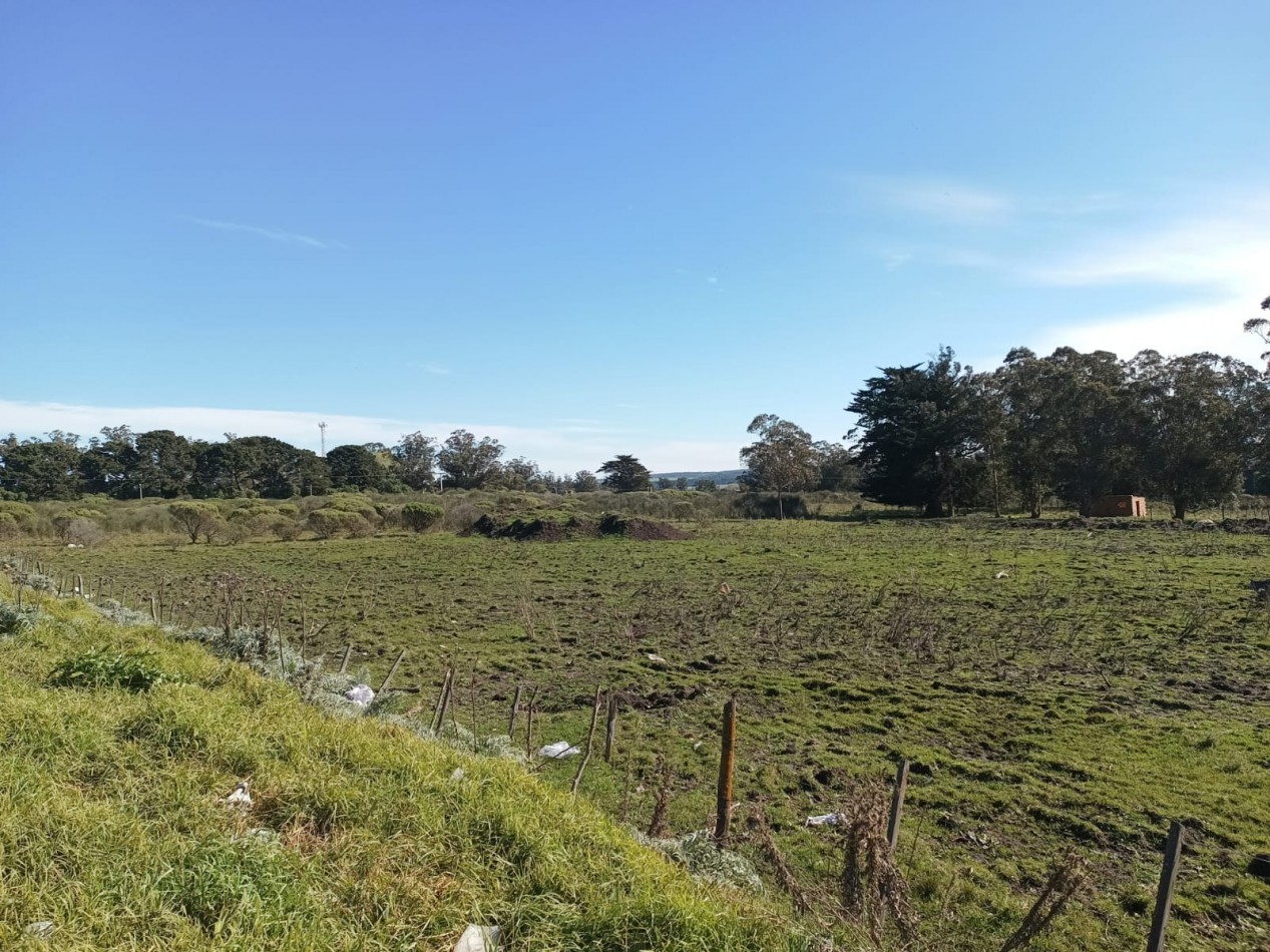 VENTA DE LOTES SOBRE AV. ANTARTIDA ARGENTINA - IDEALES PARA DESARROLLO COMERCIAL, DEPORTIVO O LOGISTICO