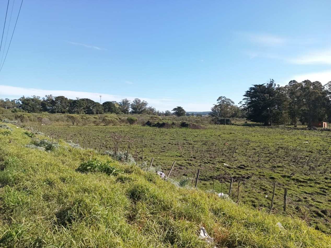 VENTA DE LOTES SOBRE AV. ANTARTIDA ARGENTINA - IDEALES PARA DESARROLLO COMERCIAL, DEPORTIVO O LOGISTICO