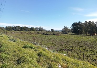 VENTA DE LOTES SOBRE AV. ANTARTIDA ARGENTINA - IDEALES PARA DESARROLLO COMERCIAL, DEPORTIVO O LOGISTICO